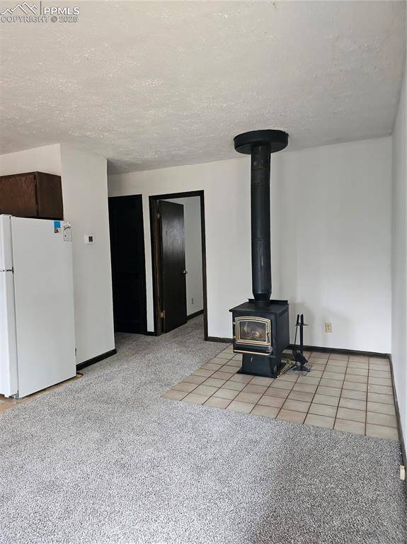 Florissant, CO 80816,480 Blue Mountain DR