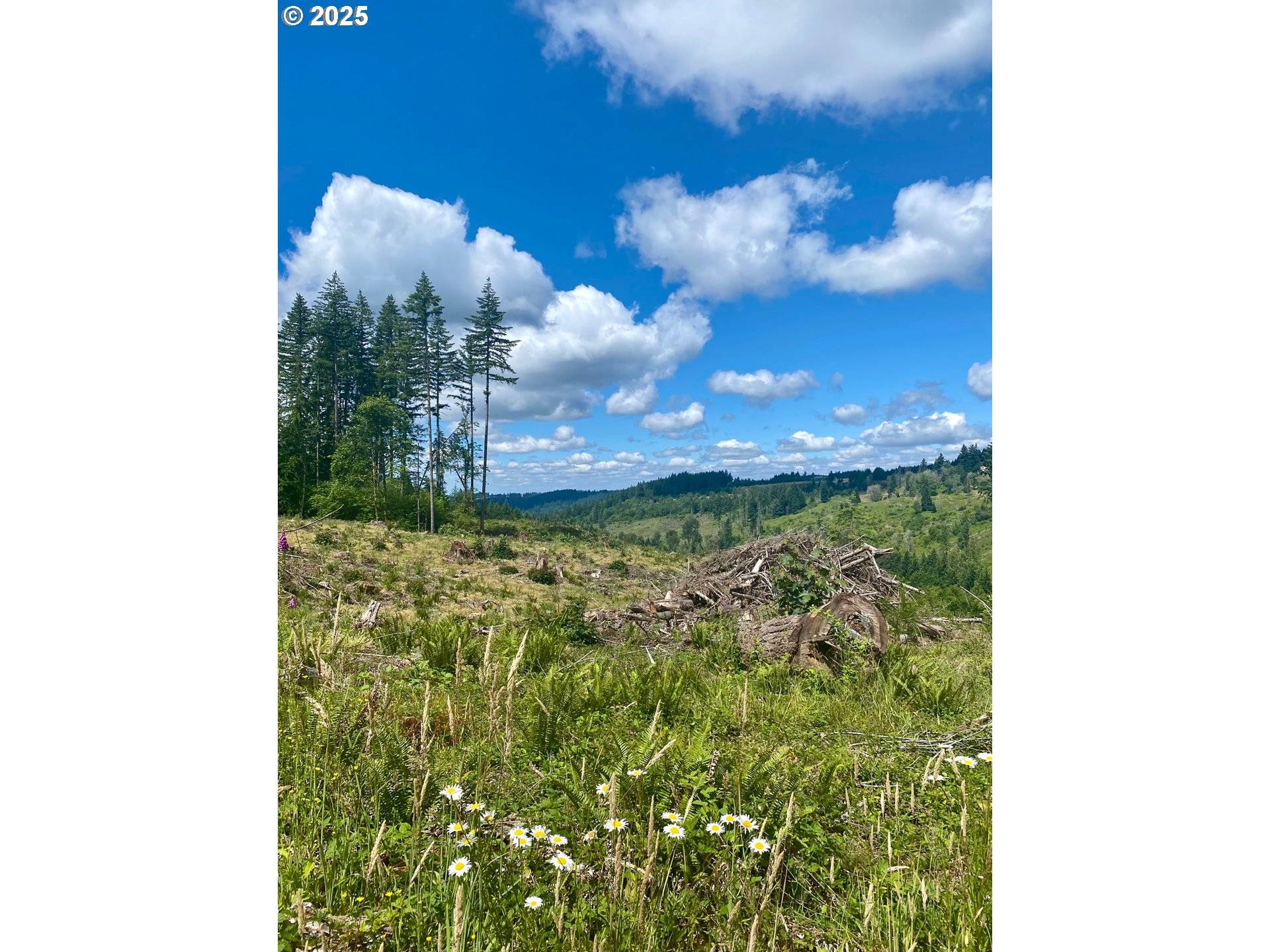 S Hult RD, Beavercreek, OR 97004