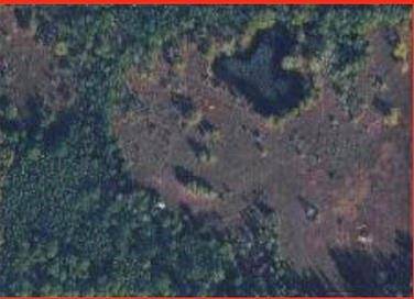 West Palm Beach, FL 33418,12333 N 142nd Ct