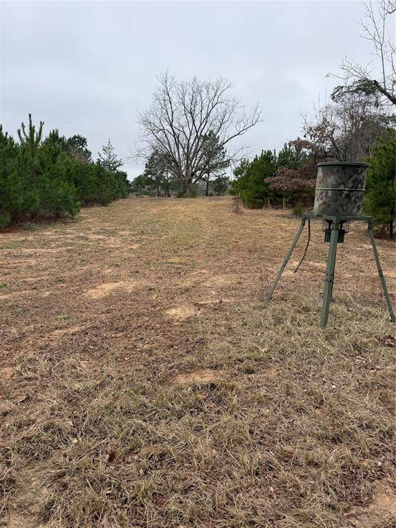 Tyler, TX 75708,TBD CR 335