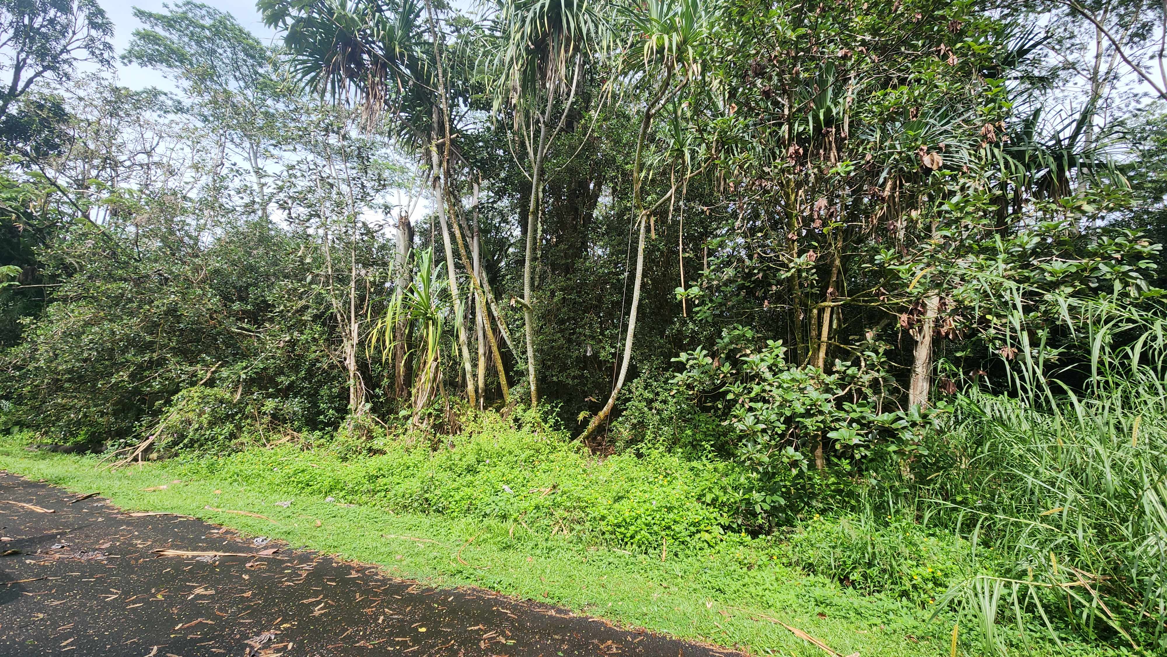 Pahoa, HI 96778,OHIKI ST