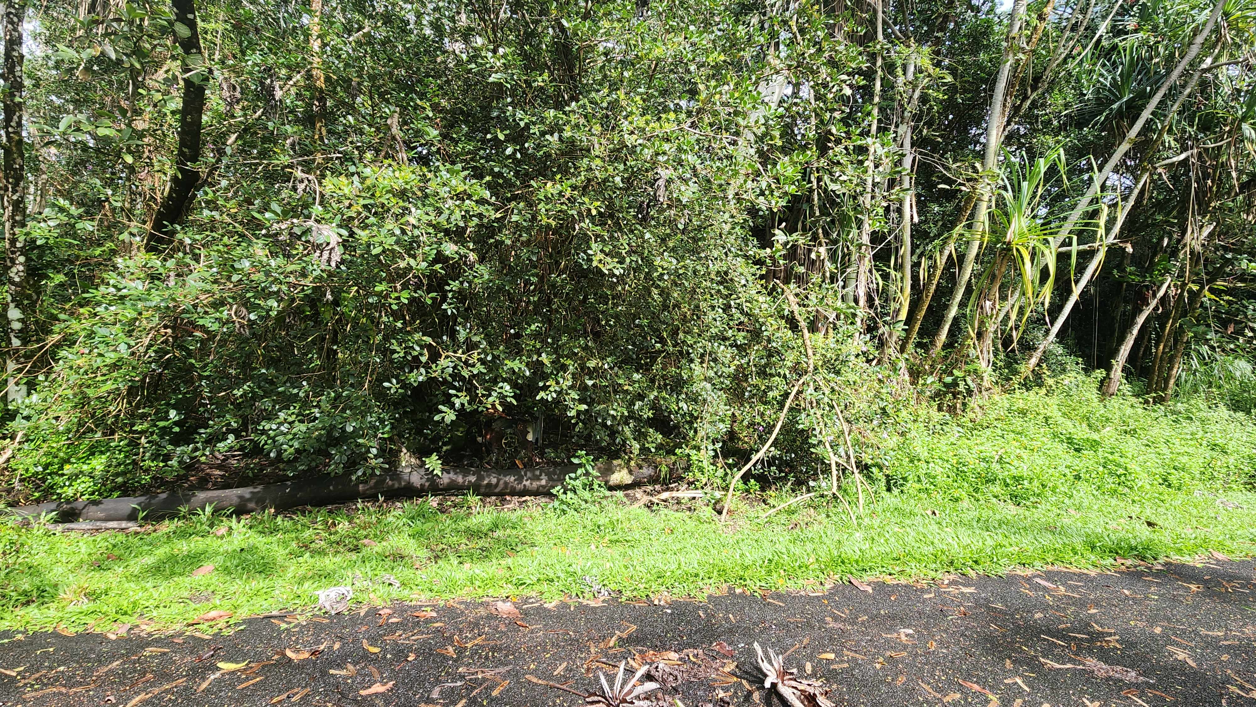 Pahoa, HI 96778,OHIKI ST