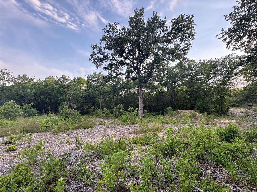 Nemo, TX 76043,1051 Rose Ct