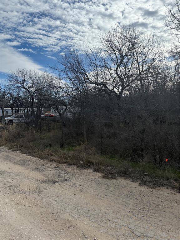 Bridgeport, TX 76426,0 Shady Oaks Drive