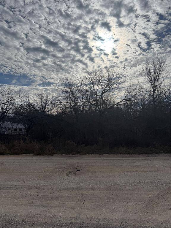 Bridgeport, TX 76426,0 Shady Oaks Drive