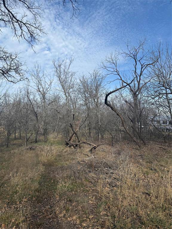 Bridgeport, TX 76426,0 Shady Oaks Drive