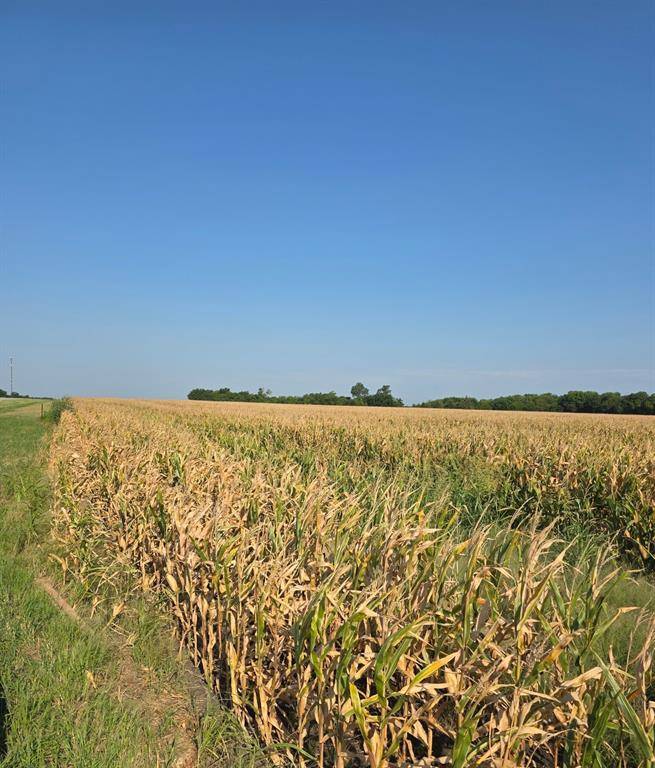 Honey Grove, TX 75446,0000 HWY 82