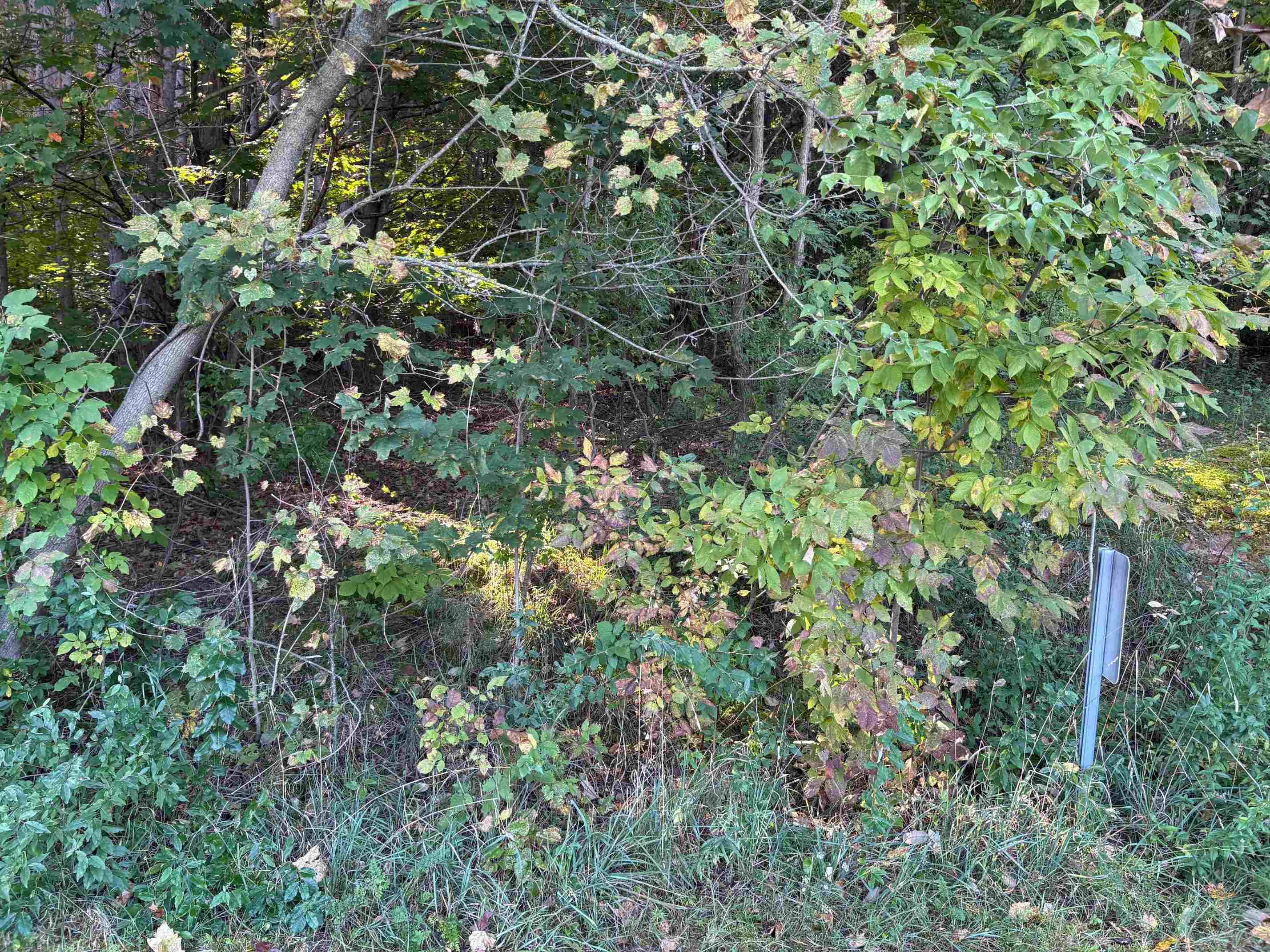 Lake Leelanau, MI 49653,#-40 E North Wind TRL