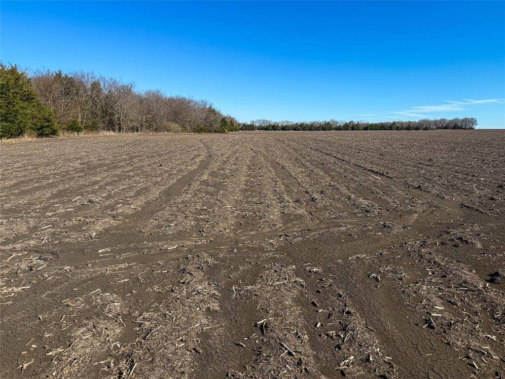 Ben Franklin, TX 75415,TBD County Rd 3240