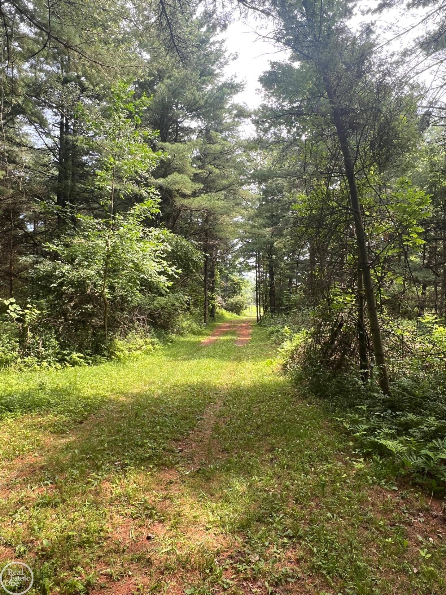 Palms, MI 48465,00000 N. Lakeshore RD