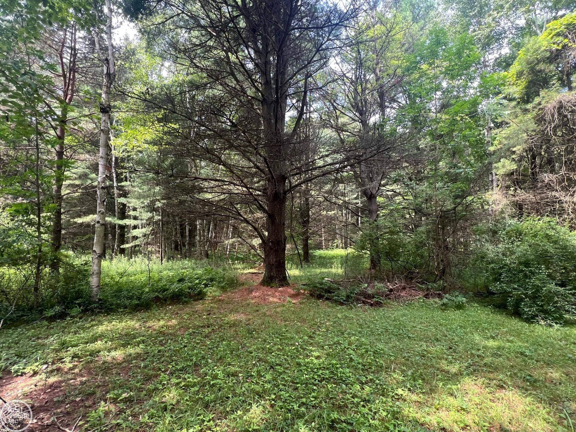 Palms, MI 48465,00000 N. Lakeshore RD