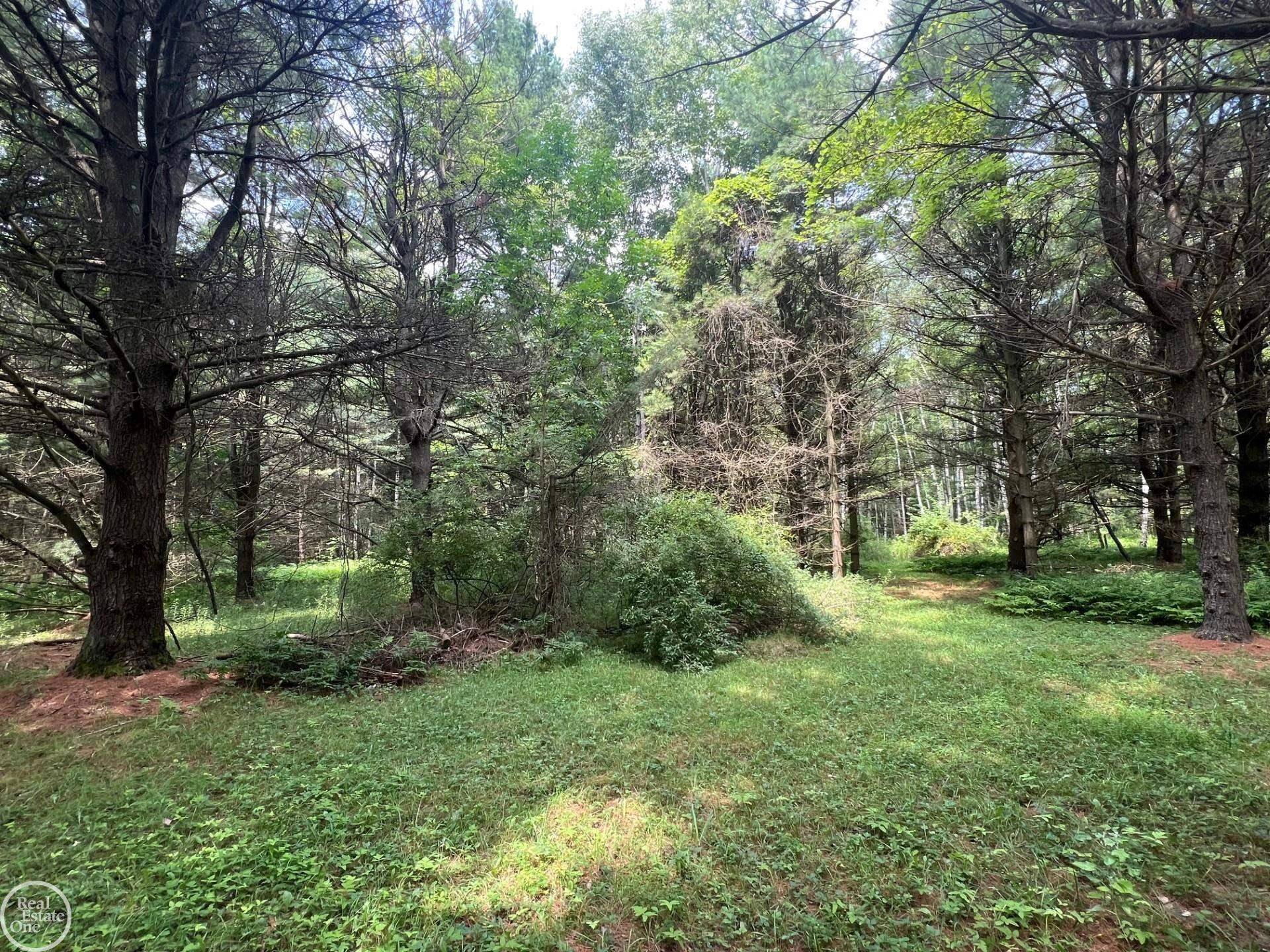 Palms, MI 48465,00000 N. Lakeshore RD