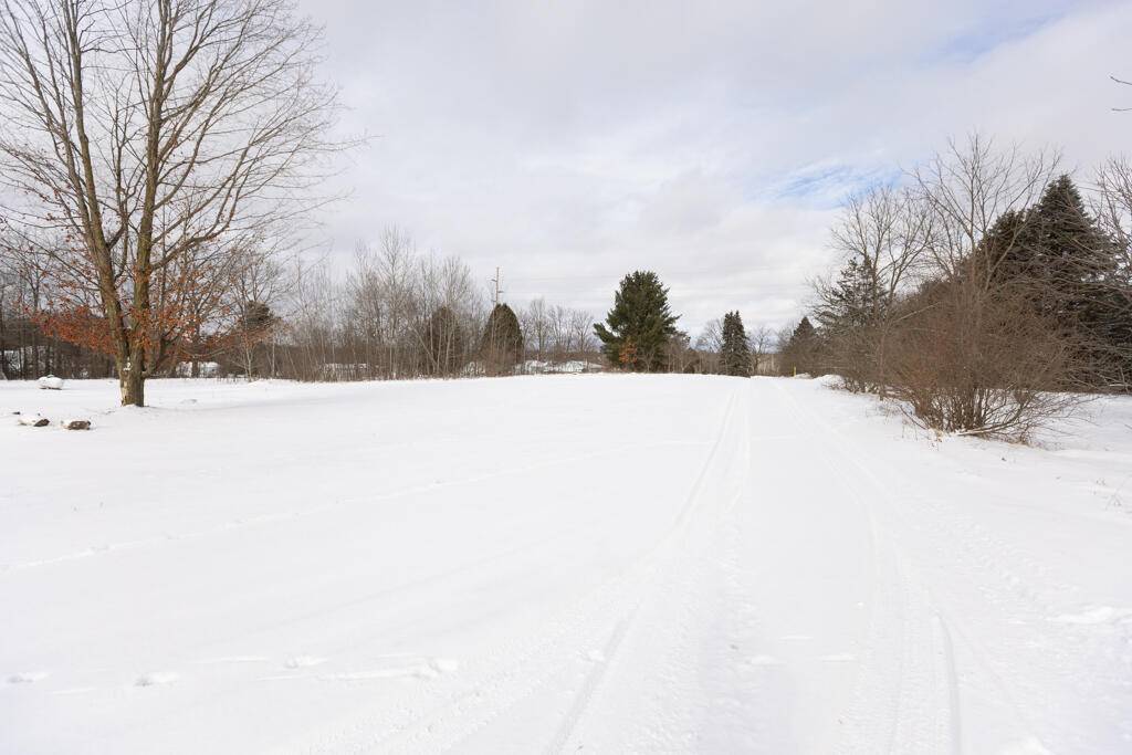 Cedar Springs, MI 49319,14323 Zeike DR