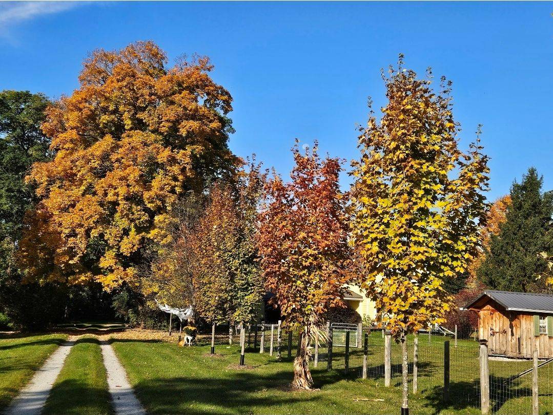 Georgian Bluffs, ON N4K 5N4,318840 Grey Rd 1 N/A