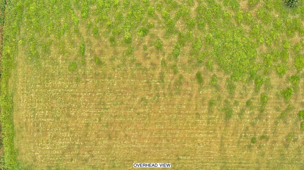 Robinson, TX 76706,TBD Hillside Drive