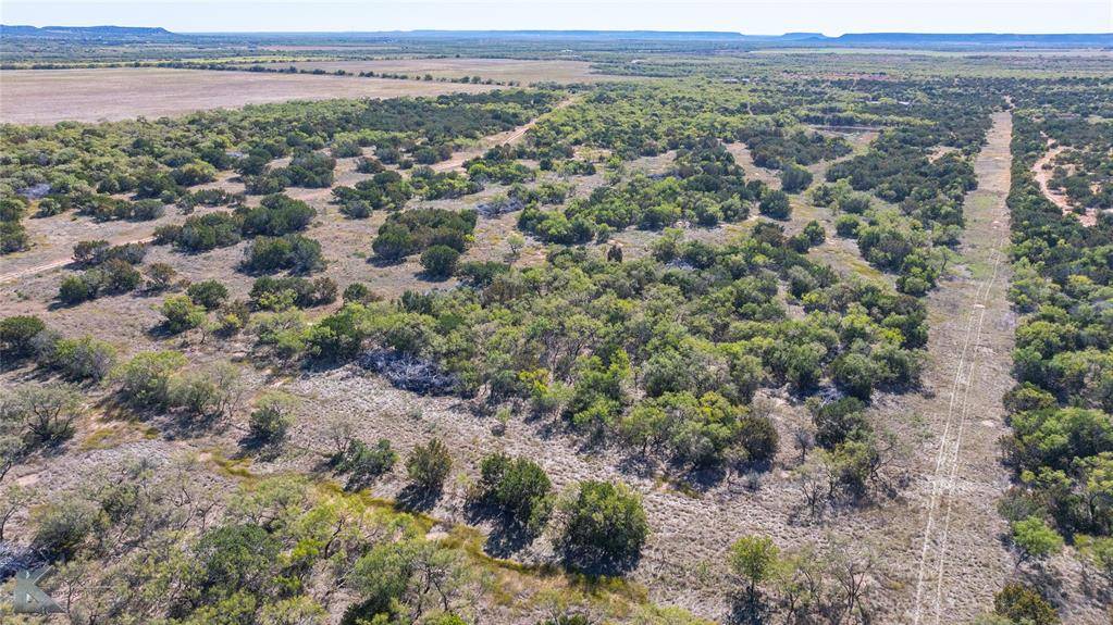Ovalo, TX 79541,Lot 3 County Road 205