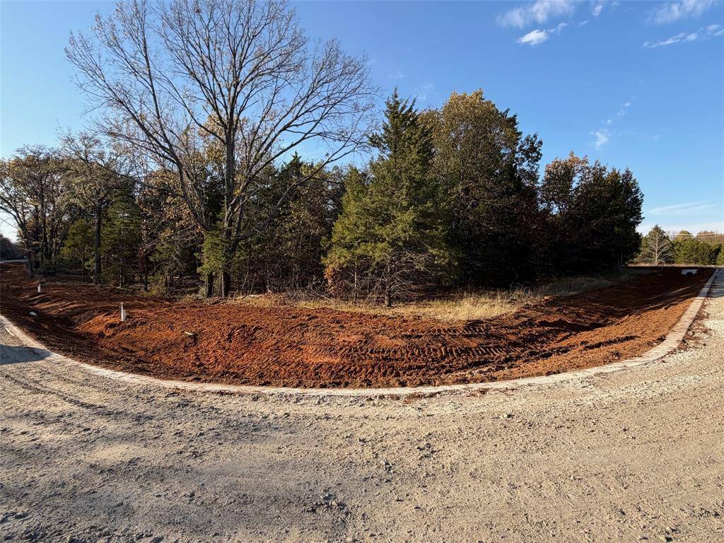 Gordonville, TX 76245,491 Reflection Bay Boulevard