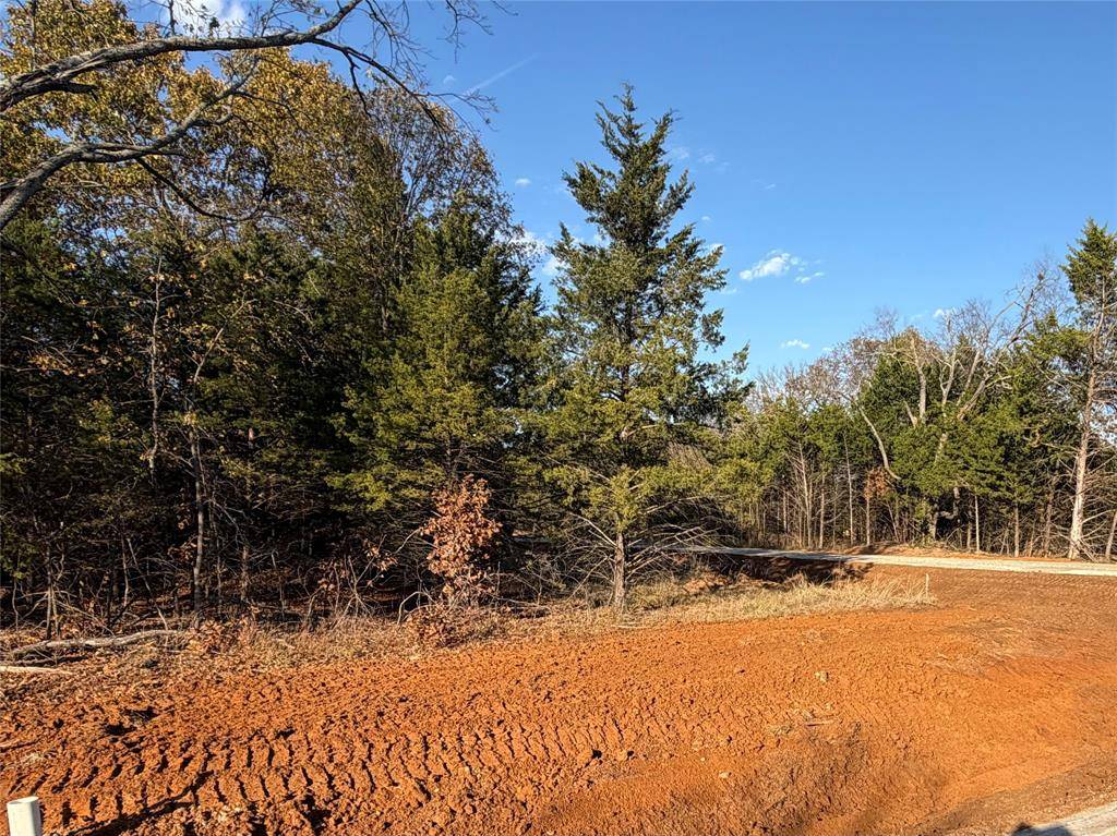 Gordonville, TX 76245,491 Reflection Bay Boulevard