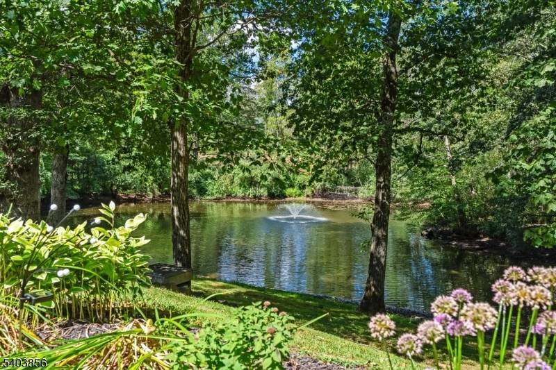 Far Hills Boro, NJ 07931,101 Sunnybranch Rd