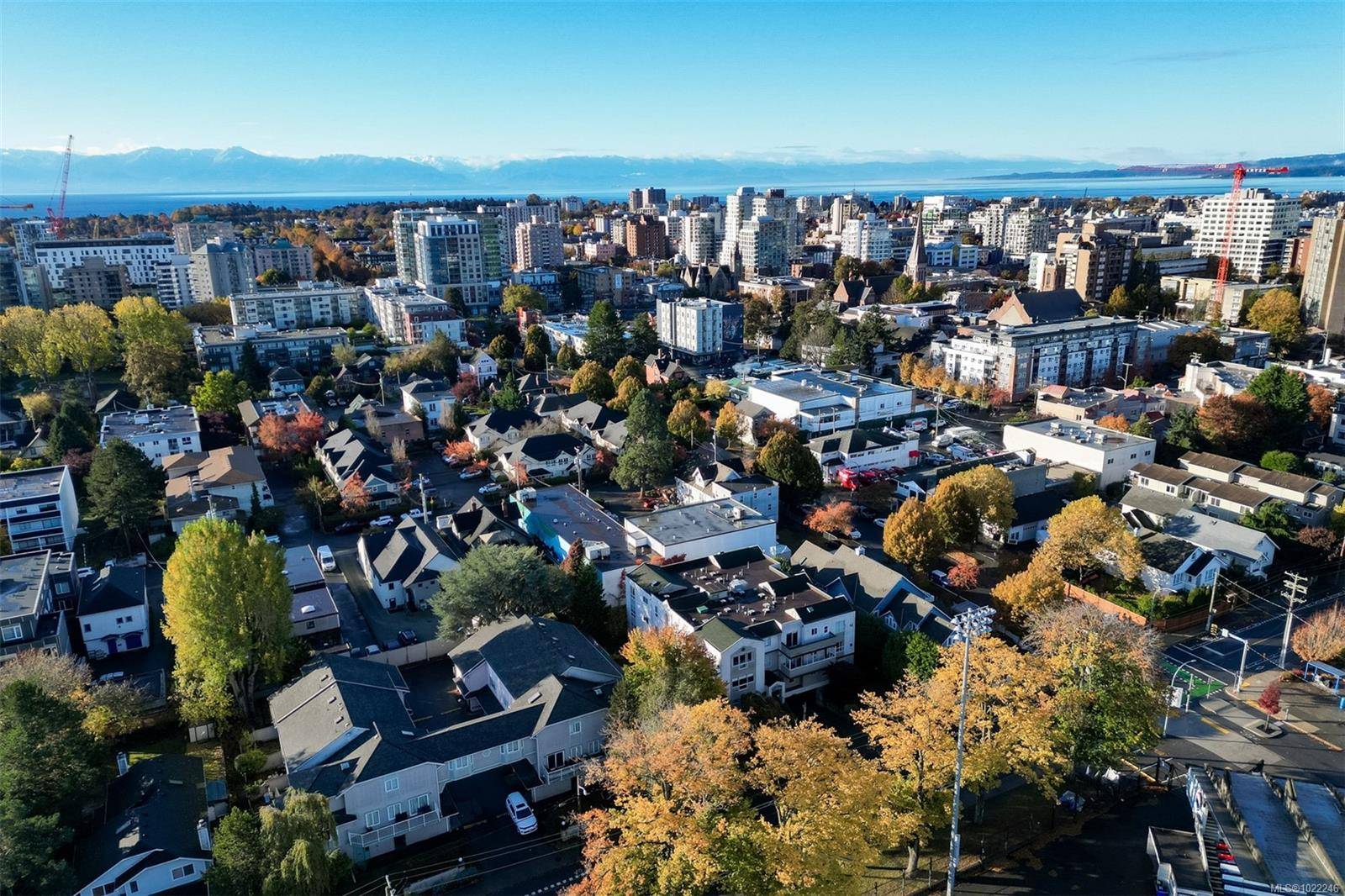 Victoria, BC V8T 1E7,1007 Caledonia Ave #302