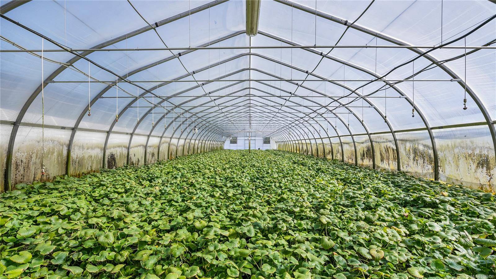 Nanoose Bay, BC V9P 9E4,2442 Summerset Rd