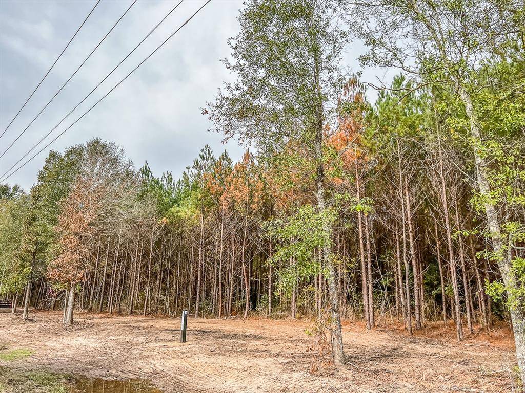 018 CR 2307, Cleveland, TX 77327