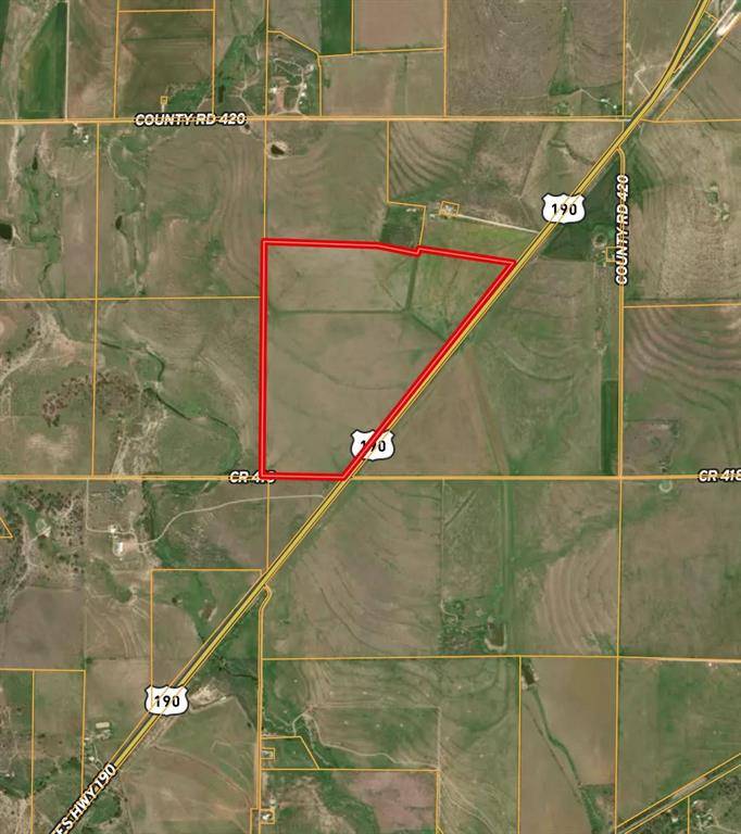 Rochelle, TX 76872,TBD 201Acres CR 419