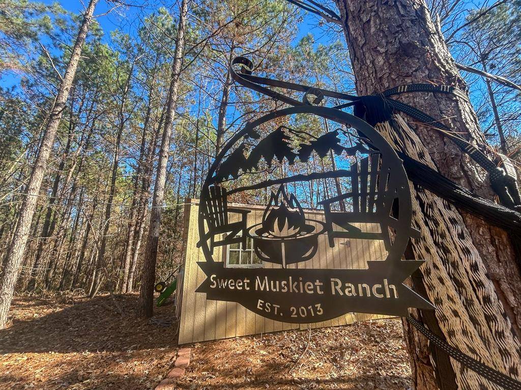 Colmesneil, TX 75938,3320 Farm to Market 3065