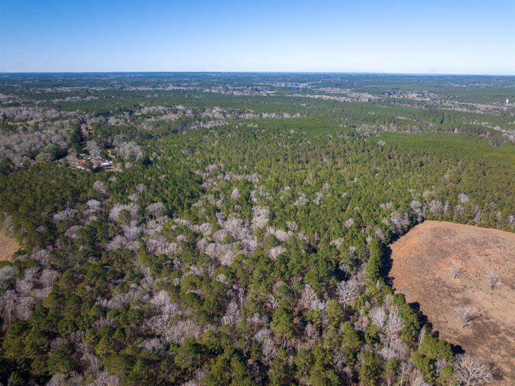 Colmesneil, TX 75938,3320 Farm to Market 3065