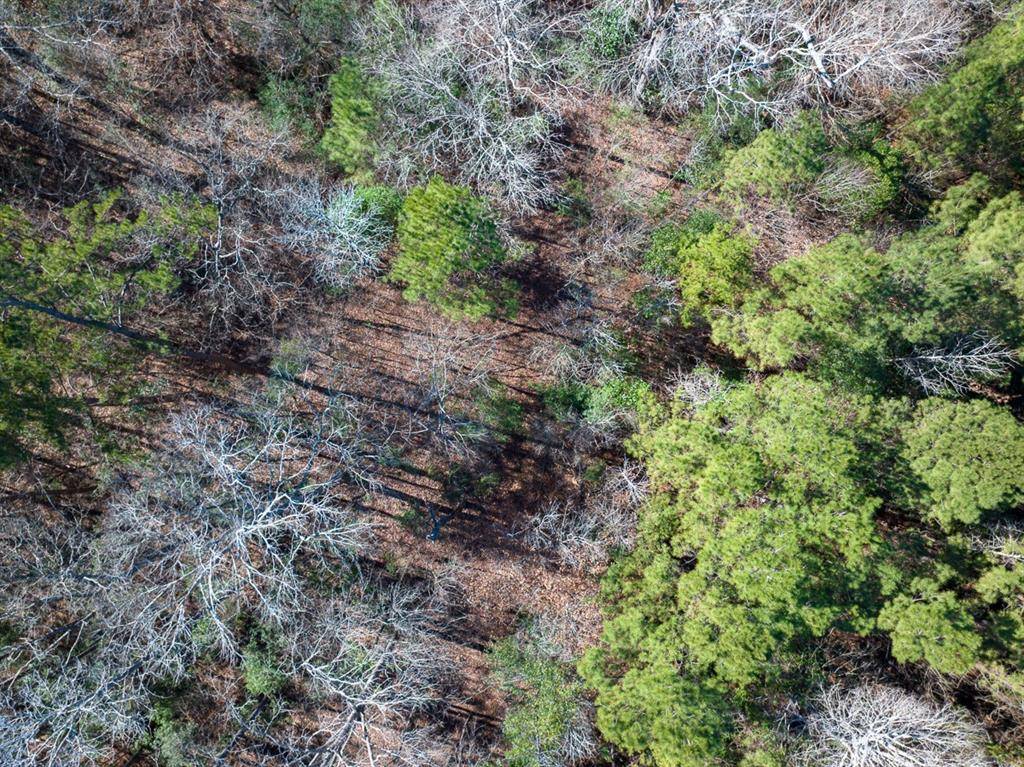 Colmesneil, TX 75938,3320 Farm to Market 3065