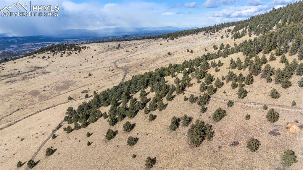 Cripple Creek, CO 80813,Private RD