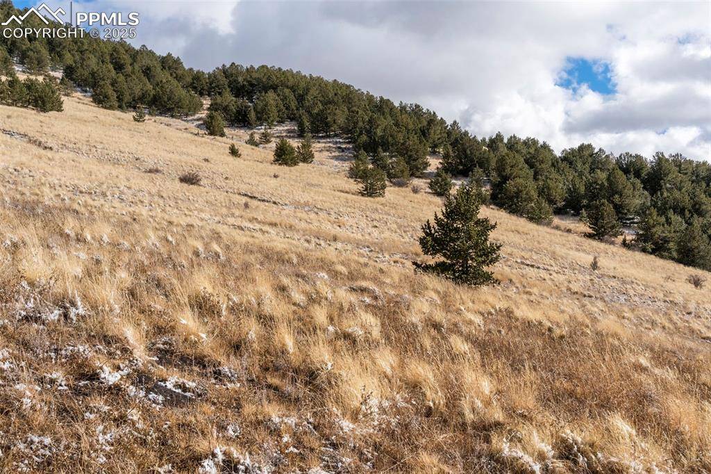 Cripple Creek, CO 80813,Private RD