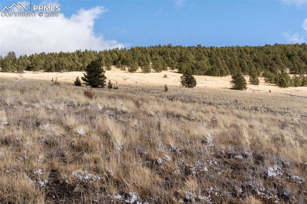 Cripple Creek, CO 80813,Private RD