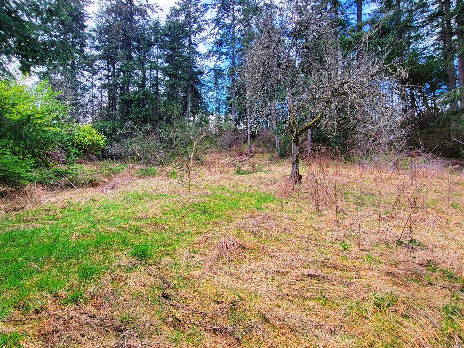 Nanaimo, BC V9R 4J5,1015 Park Ave