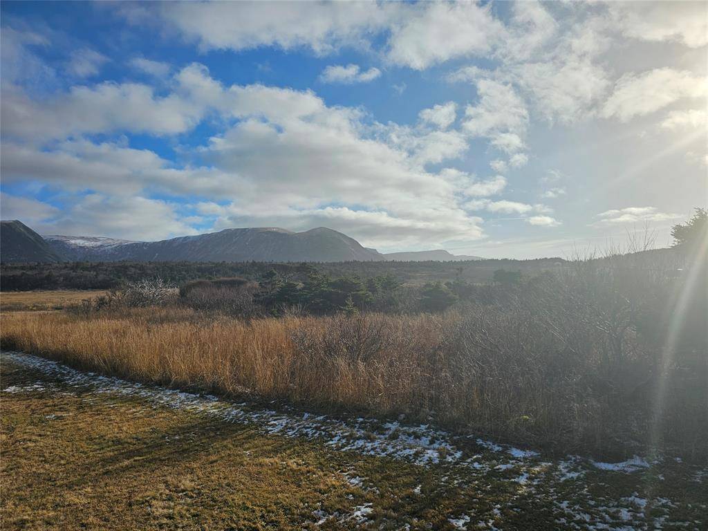 Mcdougall's, NL A0N1W0,87 McDougall's Road