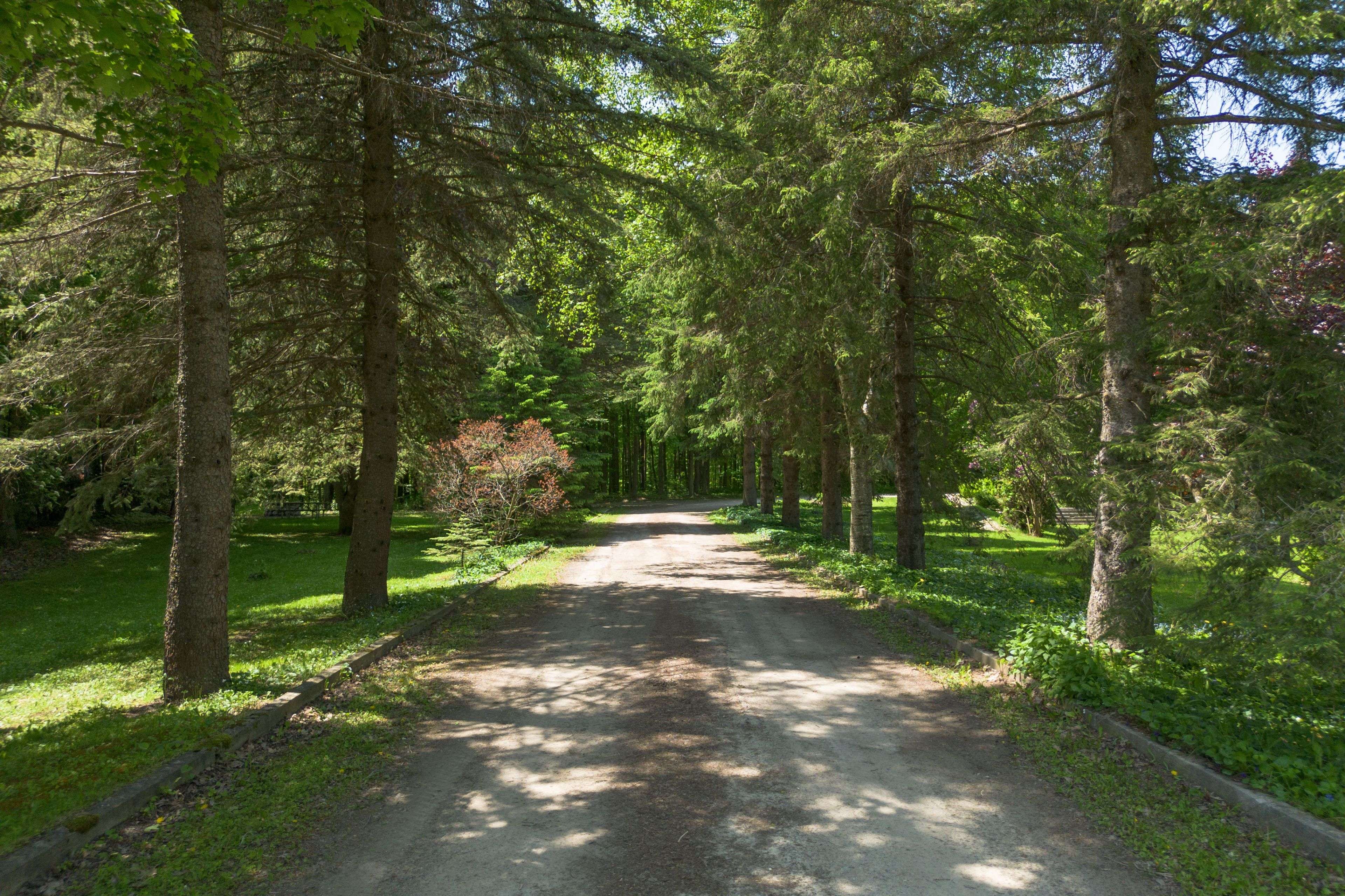 Mono, ON L9W 6E6,953026 7th Line