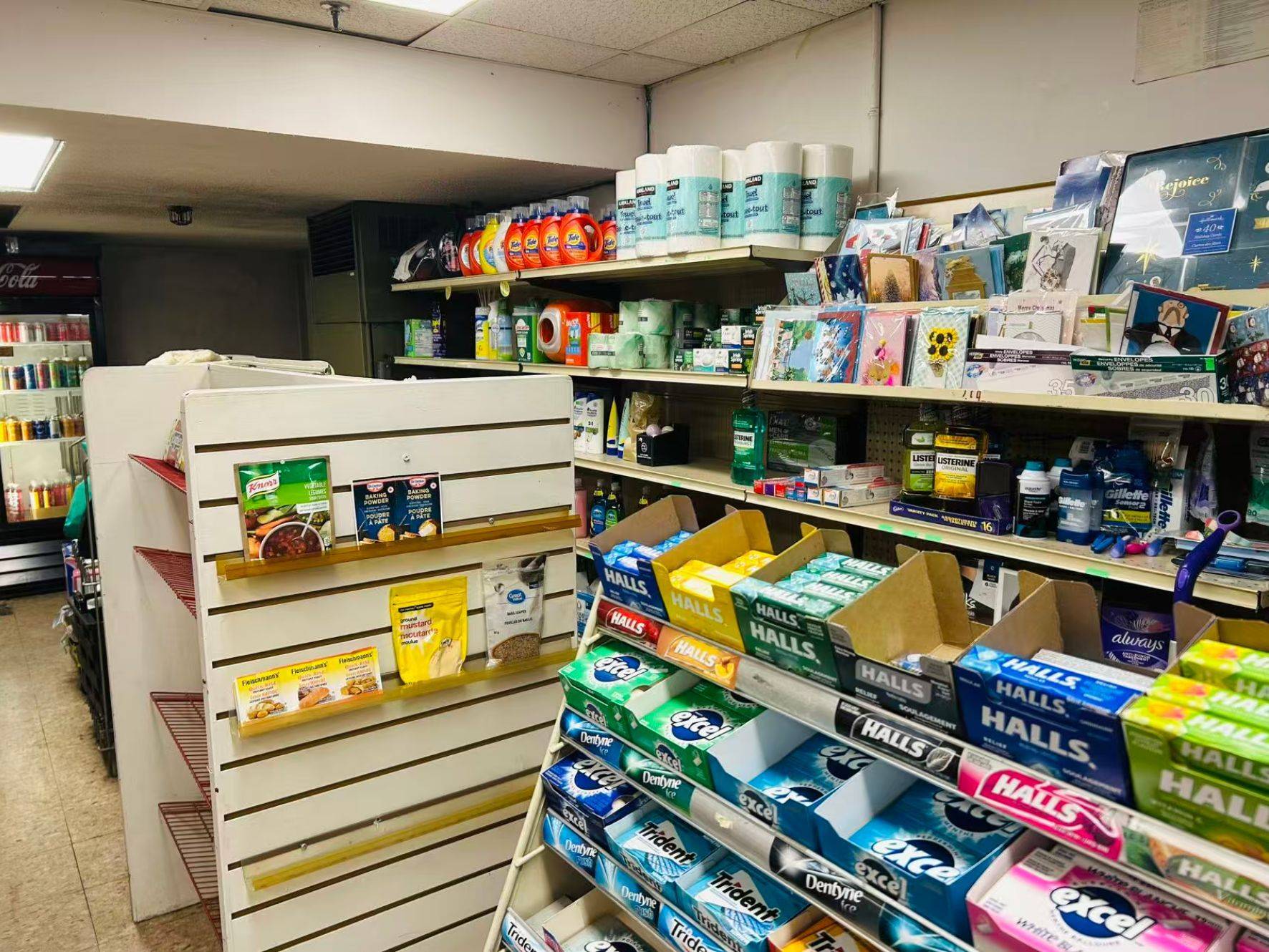 Ottawa Centre, ON K1R 7T8,440 Gloucester ST #B1