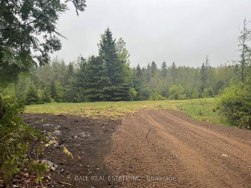 North Kawartha, ON K0L 1A0,Pt Lots 11 & 12 As Part 1 Clydesdale RD