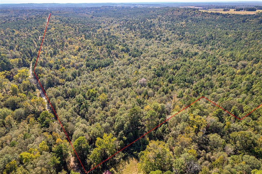 Winona, TX 75792,00 CR-359