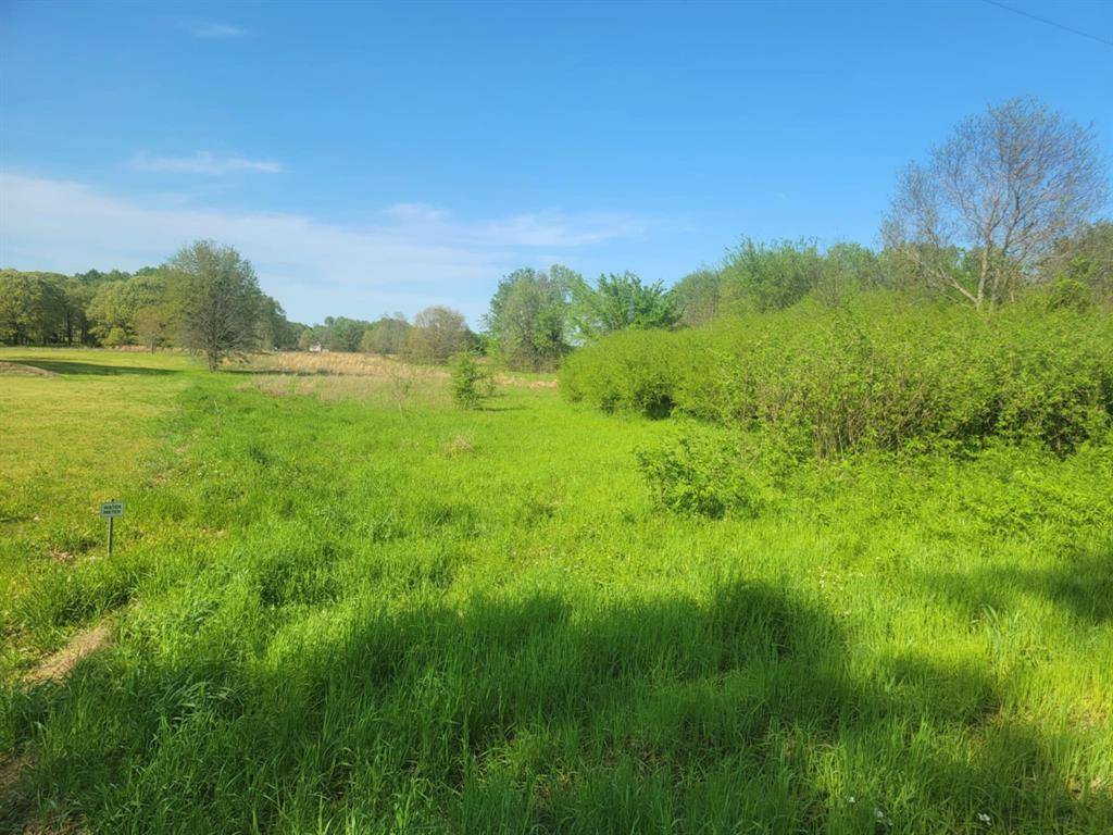 Alba, TX 75410,1821 County Road 1570