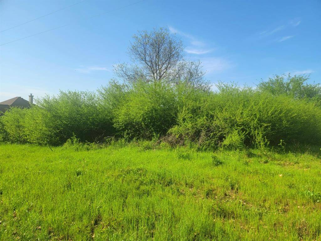 Alba, TX 75410,1821 County Road 1570