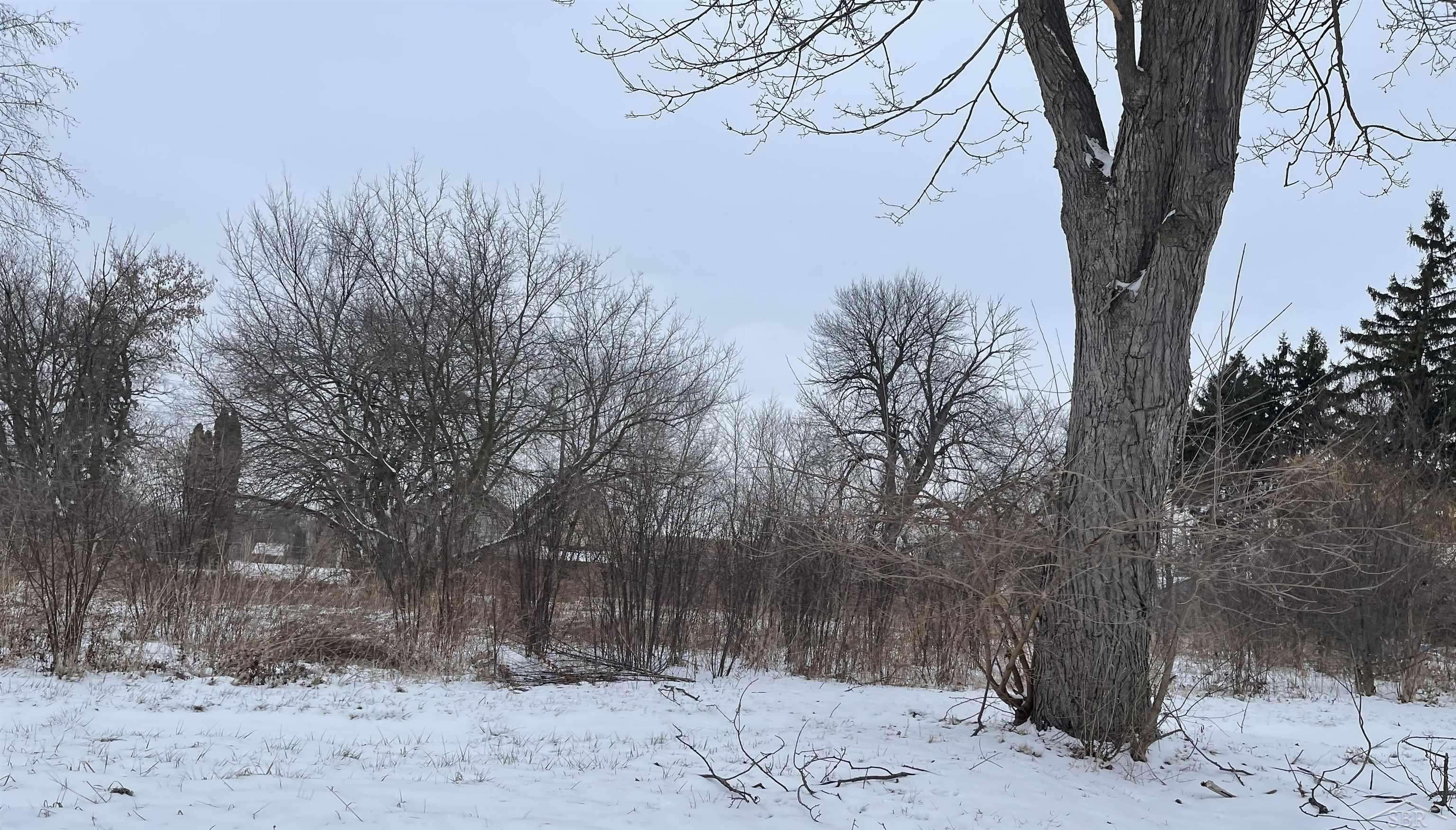 1333 Mott ST, Saginaw, MI 48601