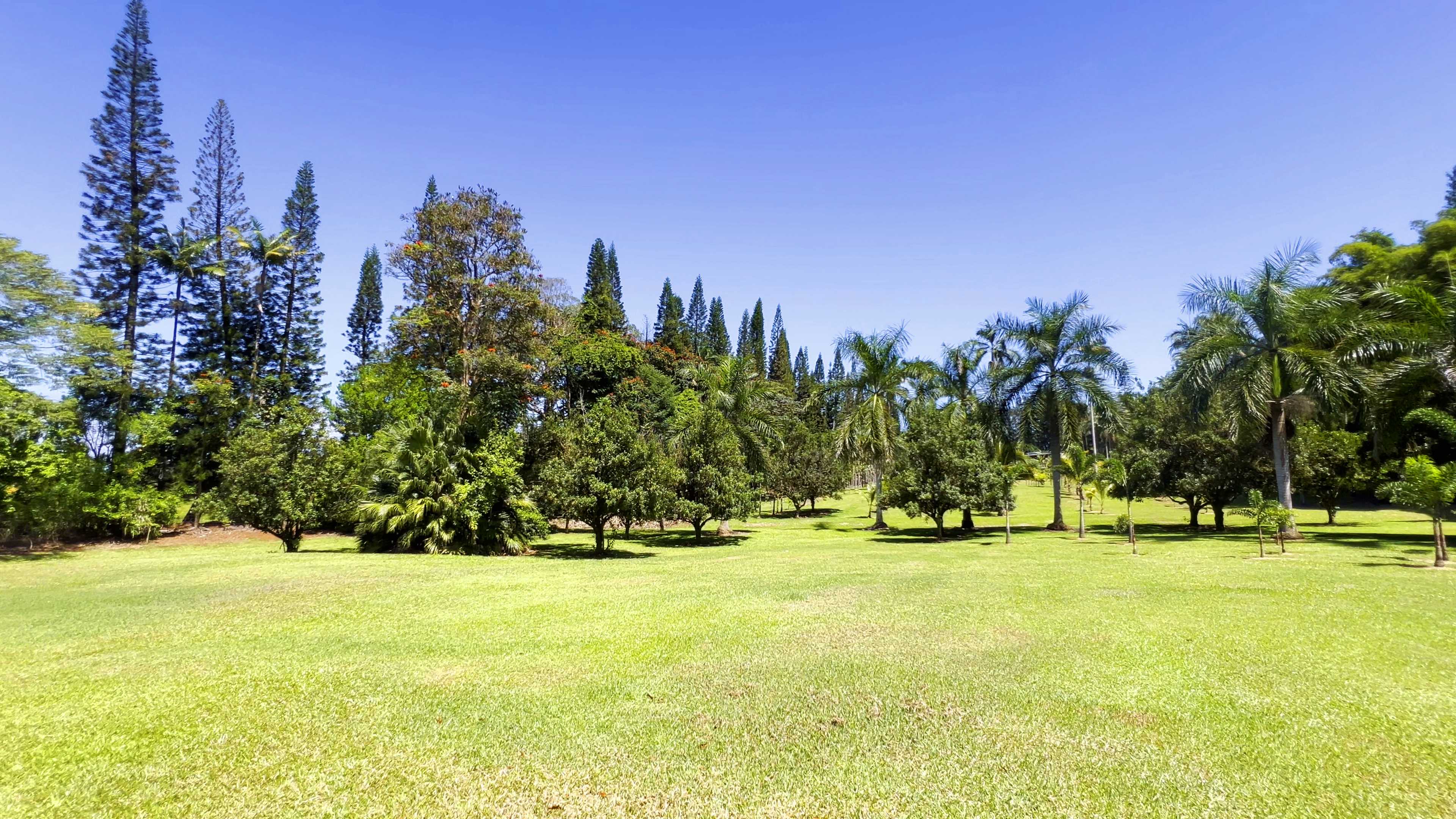 Hakalau, HI 96710,29-3707 KANNA ROAD