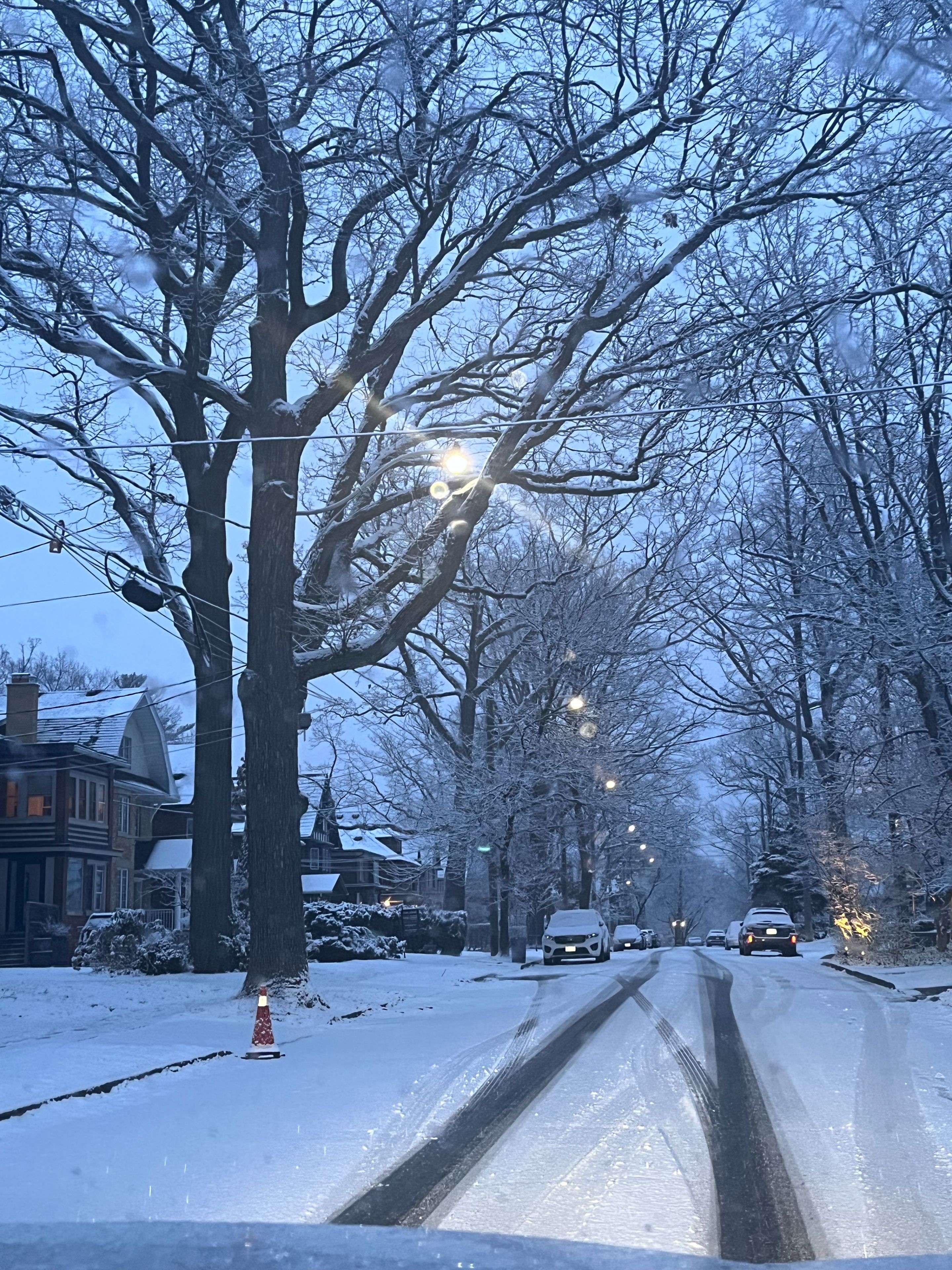 Toronto C09, ON M4T 1R5,220 Rose Park Dr DR #Lower Floor