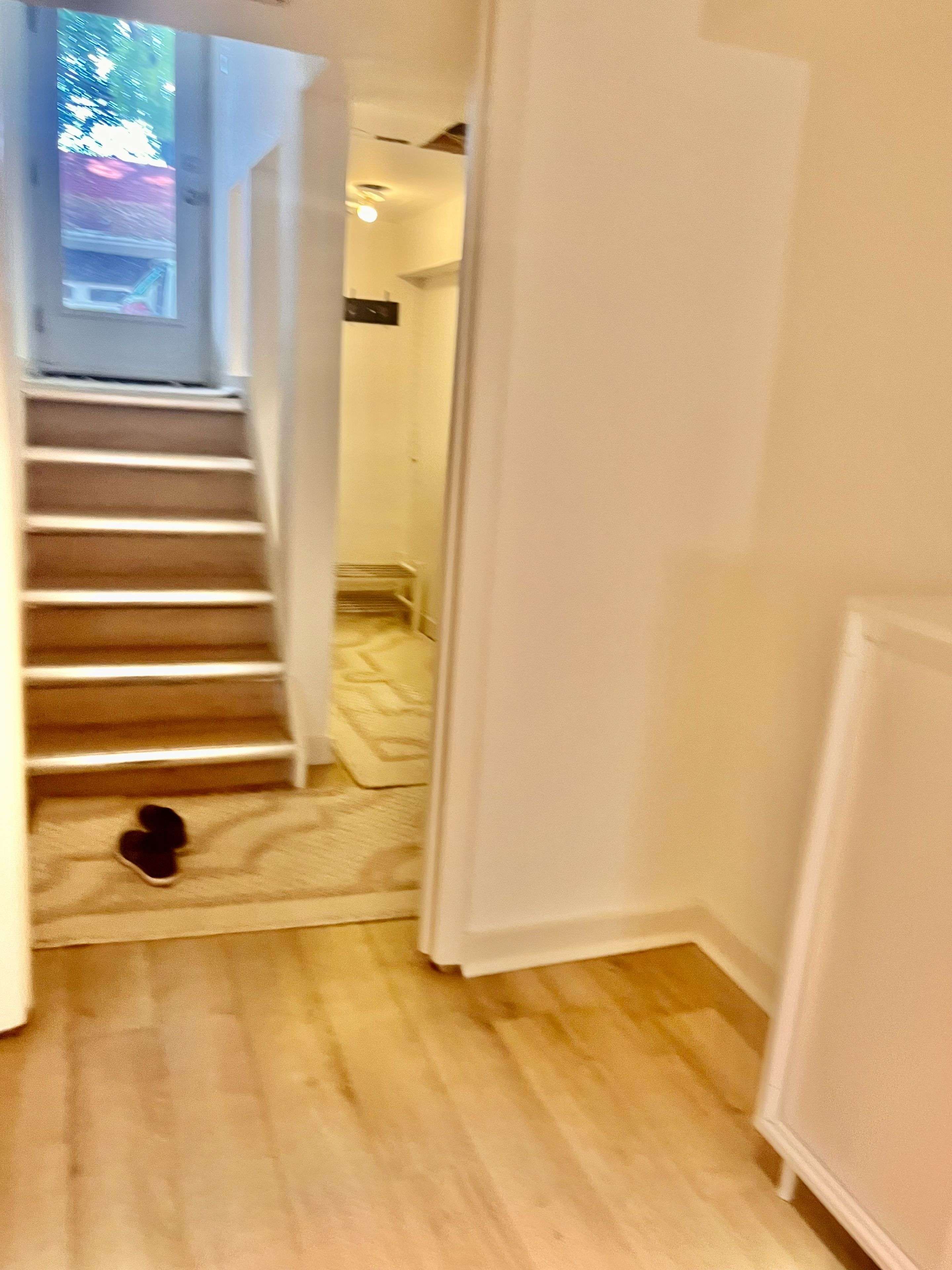 Toronto C09, ON M4T 1R5,220 Rose Park Dr DR #Lower Floor