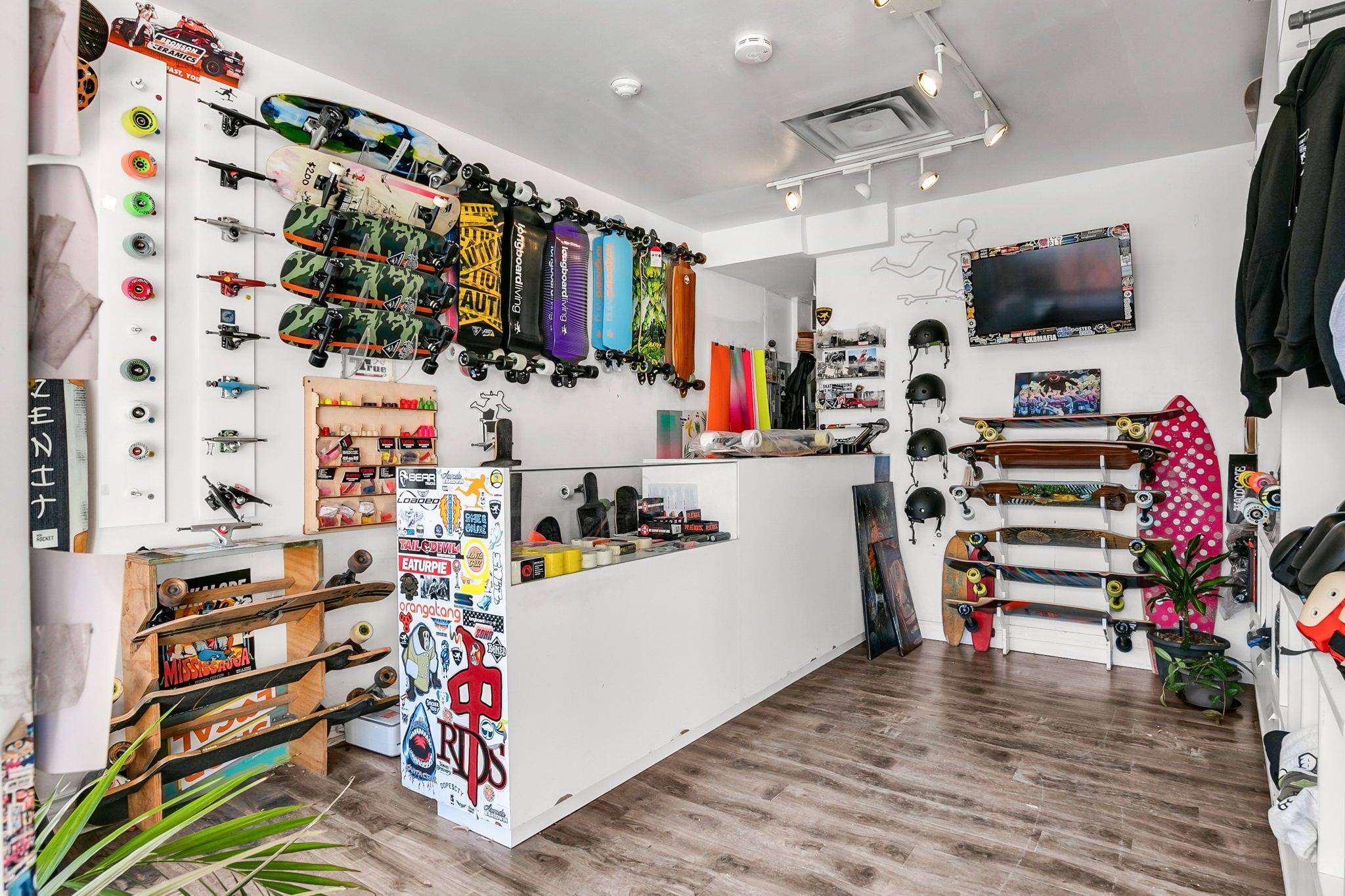 Toronto C01, ON M5T 2L6,202 Augusta AVE #Main Floor