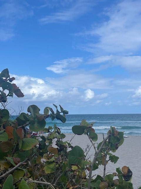 Hallandale Beach, FL 33009,2080 S Ocean Dr #505