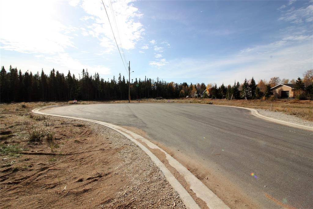 Deer Lake, NL A8A3K4,LOT 1 Stella's Place