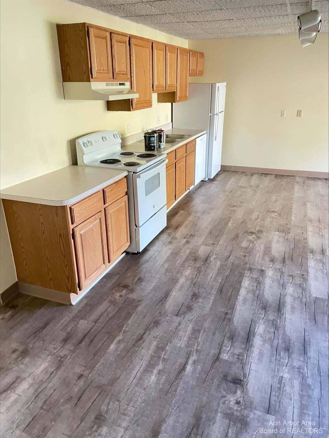 Saline, MI 48176,116 W McKay ST #1