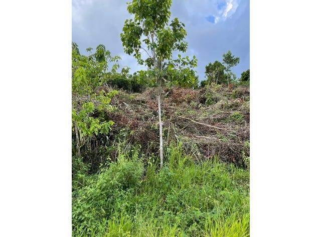 Other City - In The State Of Florida, FL 34432,0000 139 CT.